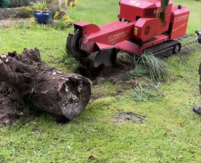 Rodfræsning i hele Danmark